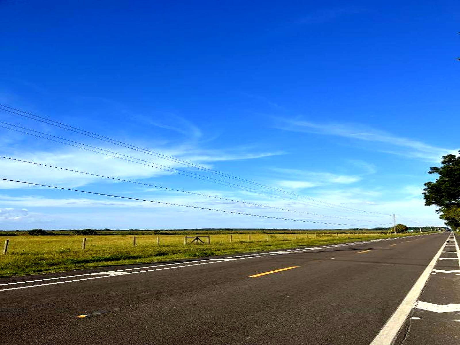 IMG_1604_high_quality